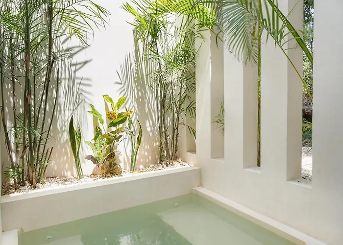 Yaax Jungle Oasis Beachclub Access Included Playa del Carmen